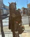 mollieruck Altpins Profile Picture