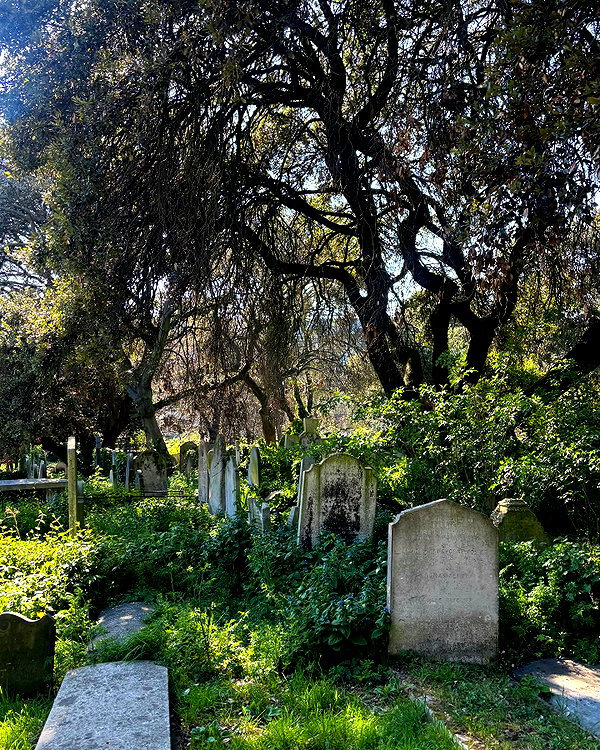 mollieruck instagram image archive image