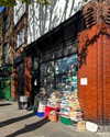 mollieruck Altpins Profile Picture