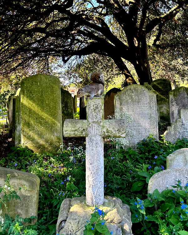 mollieruck instagram image archive image