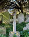 mollieruck Altpins Profile Picture