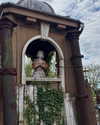 mollieruck Altpins Profile Picture