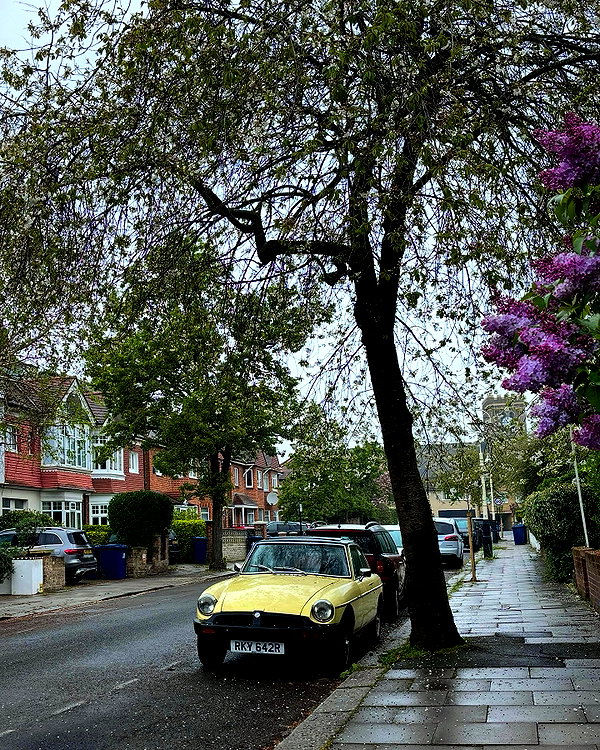 mollieruck instagram image archive image
