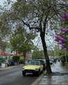mollieruck Altpins Profile Picture