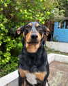 mollieruck Altpins Profile Picture