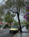 mollieruck Altpins Profile Picture