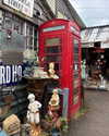 mollieruck Altpins Profile Picture