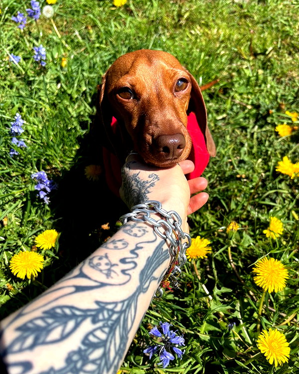 mollieruck instagram image archive image