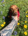 mollieruck Altpins Profile Picture