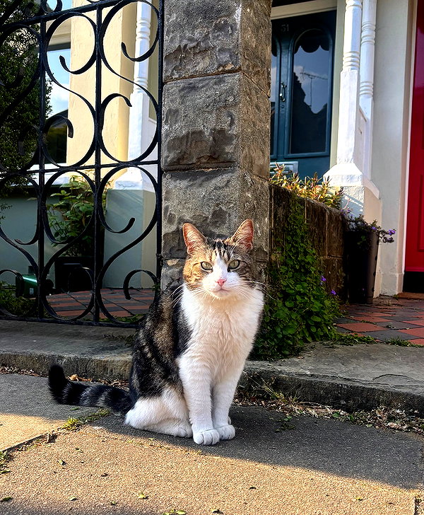 mollieruck instagram image archive image