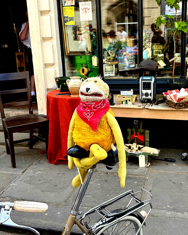 mollieruck instagram image archive image