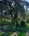 mollieruck Altpins Profile Picture