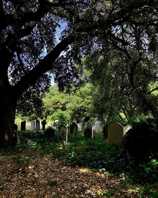 mollieruck instagram image archive image