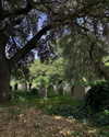 mollieruck Altpins Profile Picture