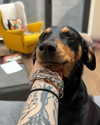 mollieruck Altpins Profile Picture