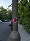 mollieruck Altpins Profile Picture