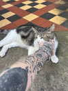 mollieruck Altpins Profile Picture