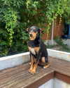 mollieruck Altpins Profile Picture
