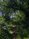 mollieruck Altpins Profile Picture
