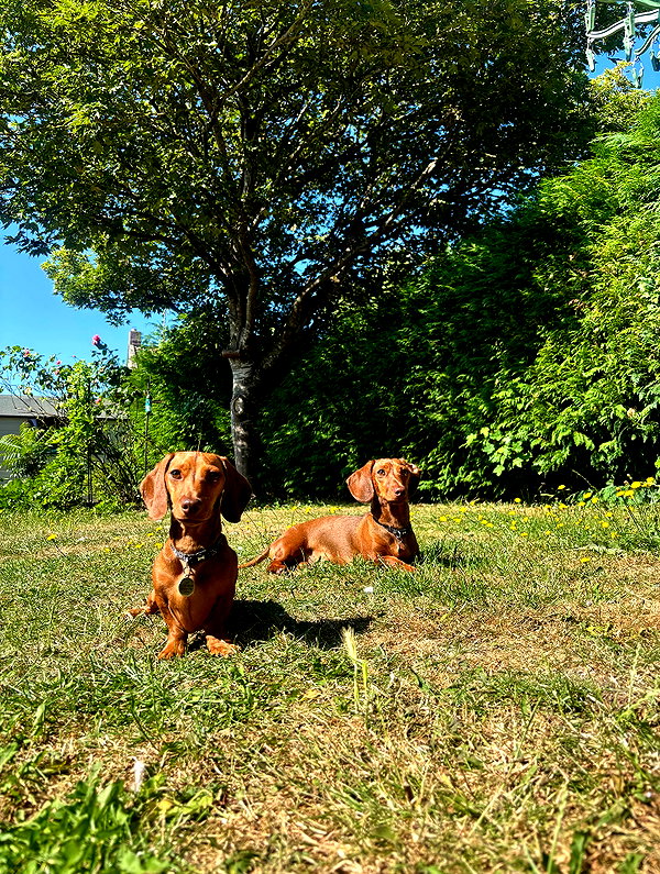 mollieruck instagram image archive image