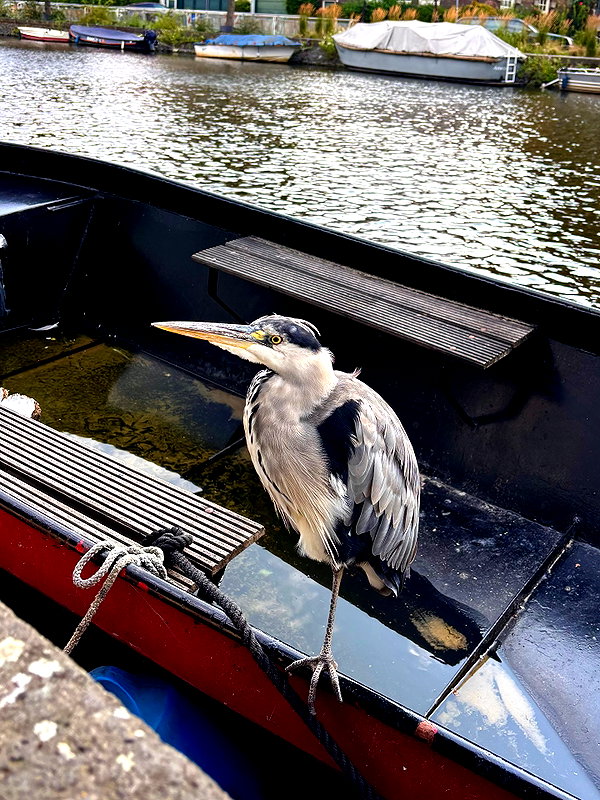 mollieruck instagram image archive image