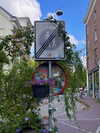 mollieruck Altpins Profile Picture