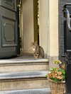 mollieruck Altpins Profile Picture
