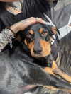 mollieruck Altpins Profile Picture