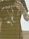 mollieruck Altpins Profile Picture
