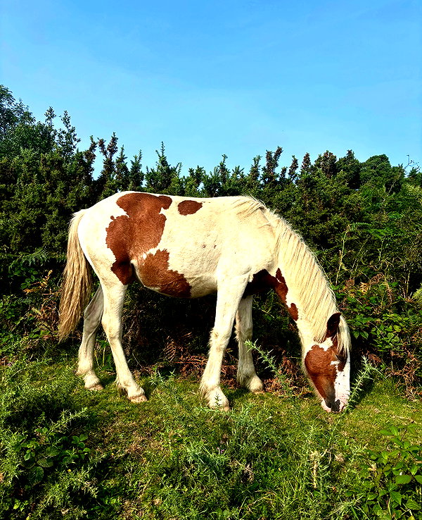 mollieruck instagram image archive image