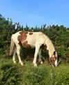mollieruck Altpins Profile Picture