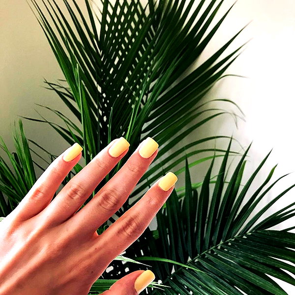 monimaney instagram image archive image