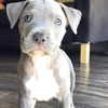 monimaney Altpins Profile Picture