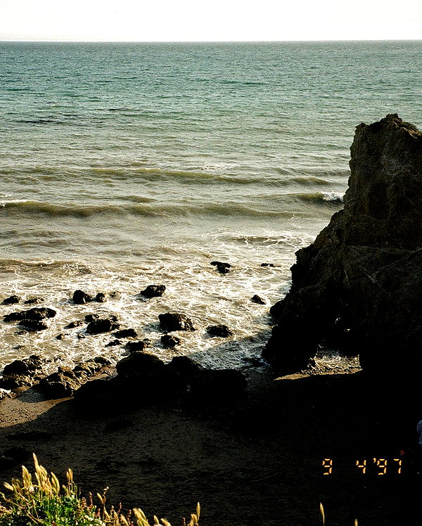 monimaney instagram image archive image