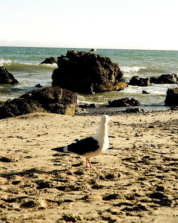monimaney instagram image archive image