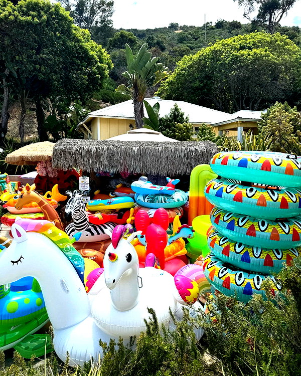 monimaney instagram image archive image
