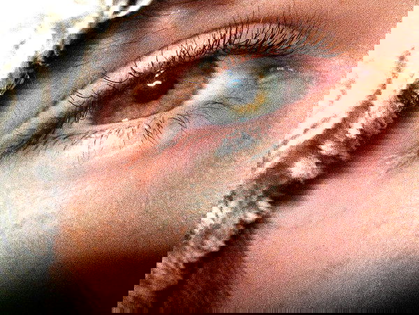 moonliliaght moonliliaght archive image