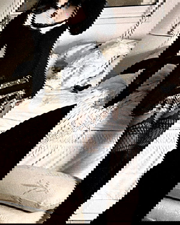 moonliliaght moonliliaght archive image