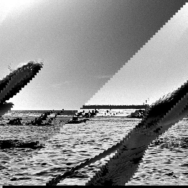 moonliliaght moonliliaght archive image