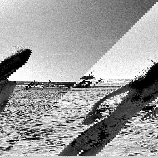 moonliliaght moonliliaght archive image