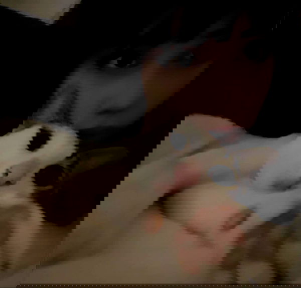 moonliliaght moonliliaght archive image