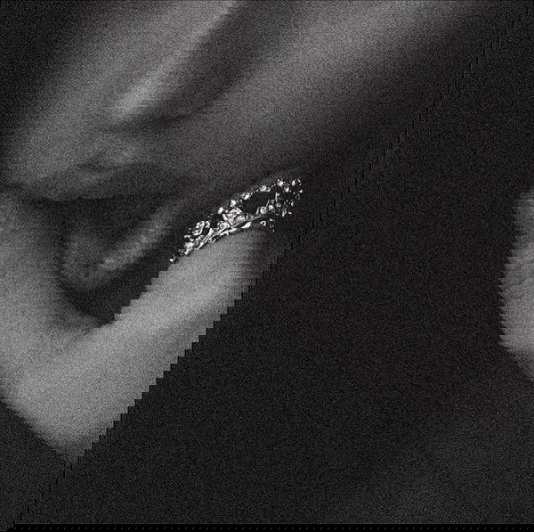 moonliliaght moonliliaght archive image