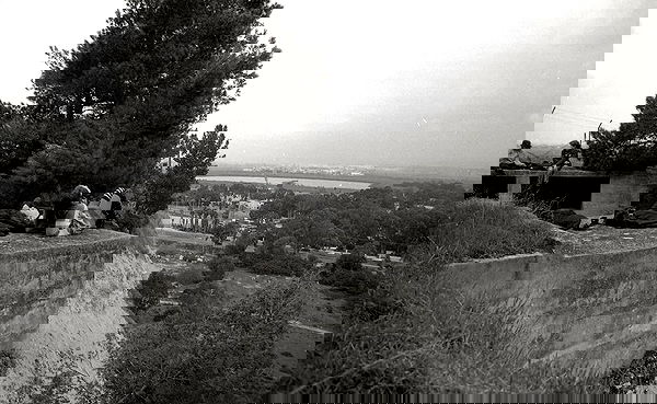 moonyyyya moonyyyya archive image