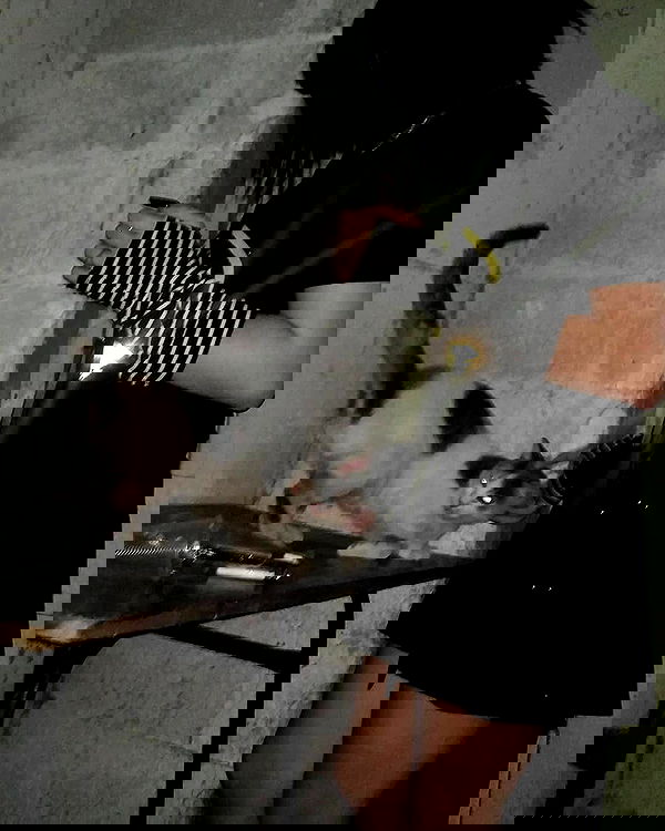 moonyyyya moonyyyya archive image