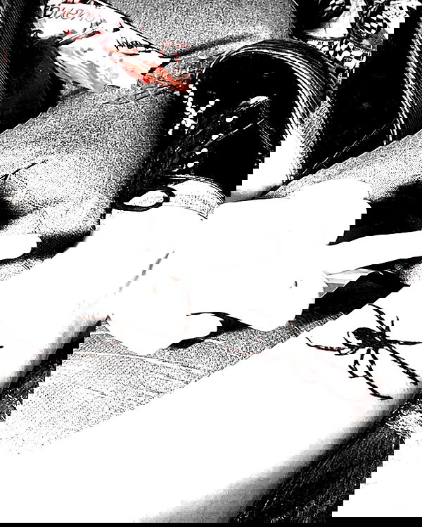 moonyyyya moonyyyya archive image