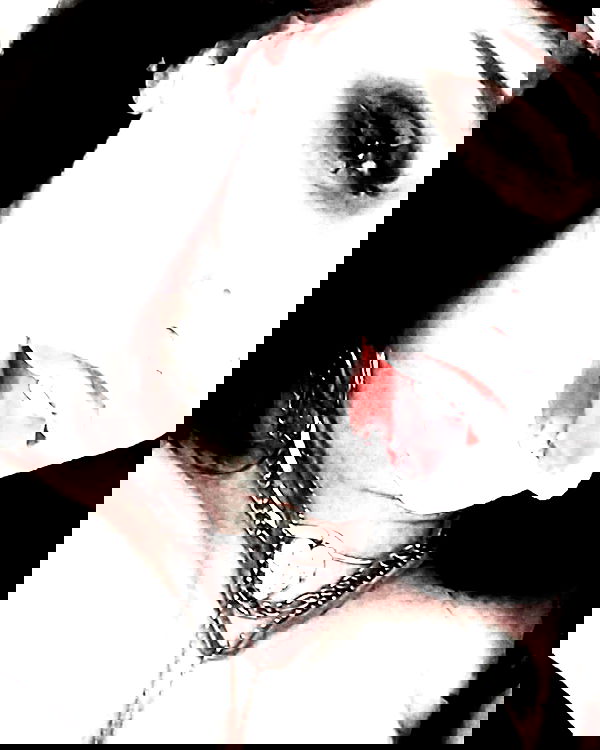 moonyyyya moonyyyya archive image