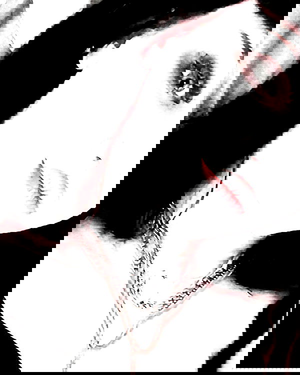 moonyyyya moonyyyya archive image