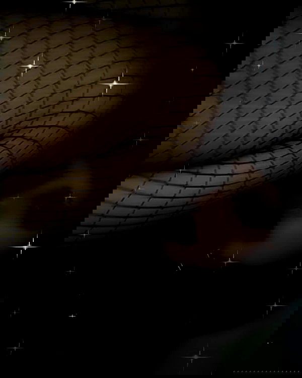 moonyyyya moonyyyya archive image