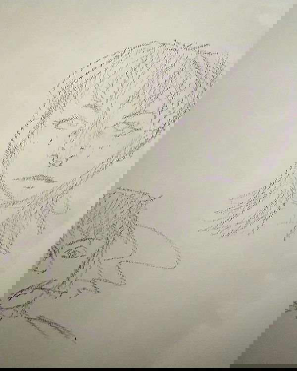 moonyyyya moonyyyya archive image