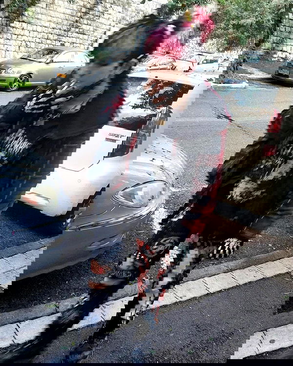 moonyyyya moonyyyya archive image